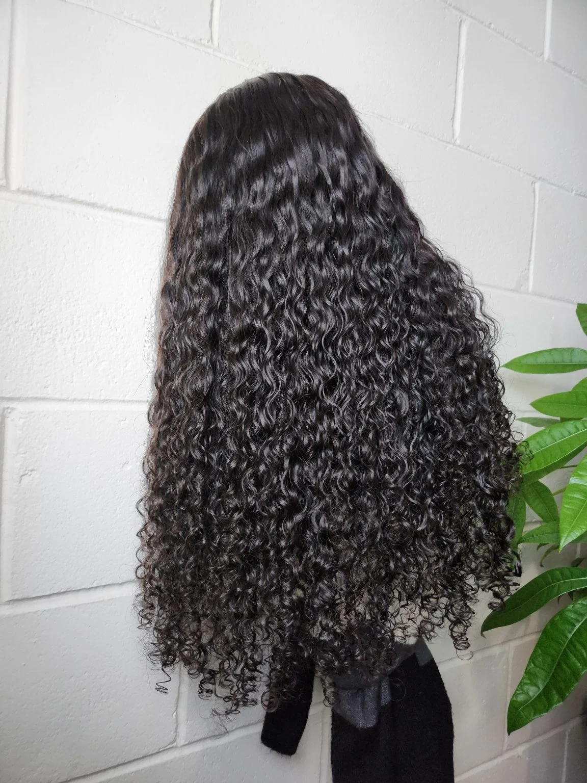 Reni Curly 2 Reni Raw Curly1